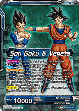Son Goku & Vegeta - SSB Vegito, Energy Eruption