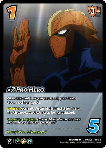 #7 Pro Hero